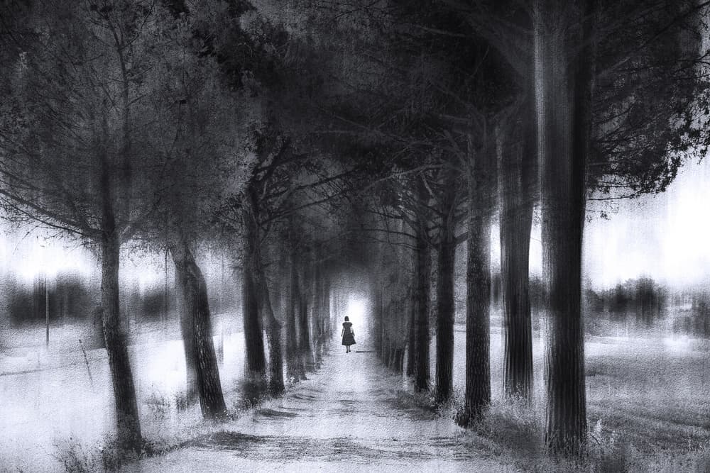 Mysterious Path Ahead by Nicodemo Quaglia — canvas wall art