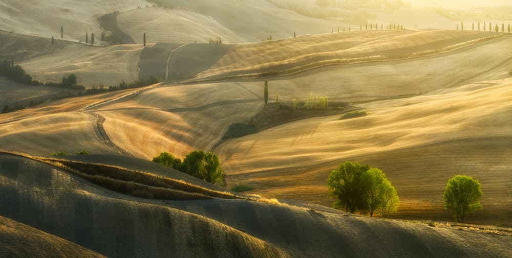Golden Tuscan Hills by Tomasz Rojek — canvas wall art