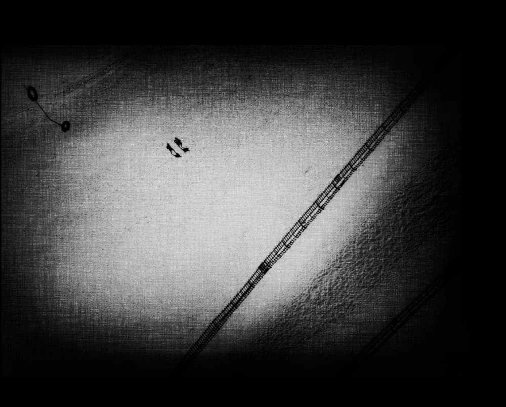 Monochrome Bridge Walk by Mirela Momanu — canvas wall art