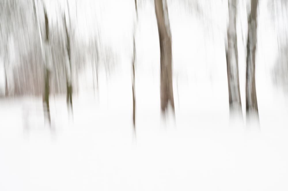Blurred Winter Forest by Imaginative — canvas wall art