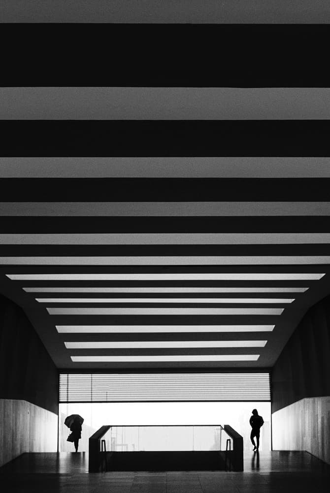 Stripes and Silhouettes by Paulo Abrantes — canvas wall art