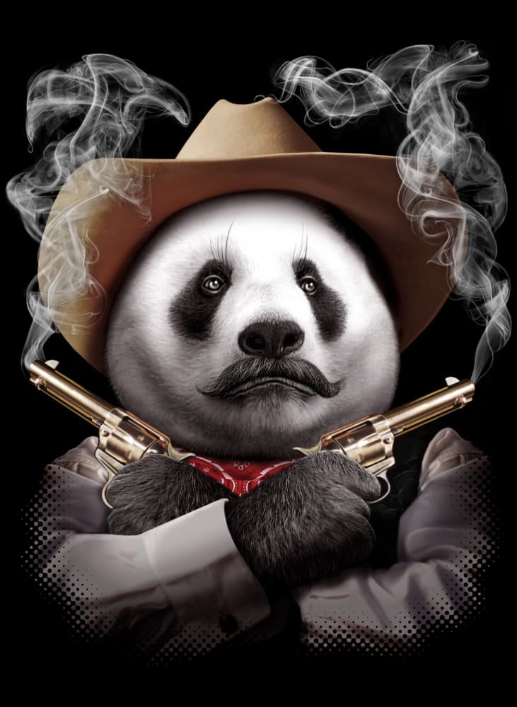 Panda Gunslinger by Adam Lawless — canvas wall art