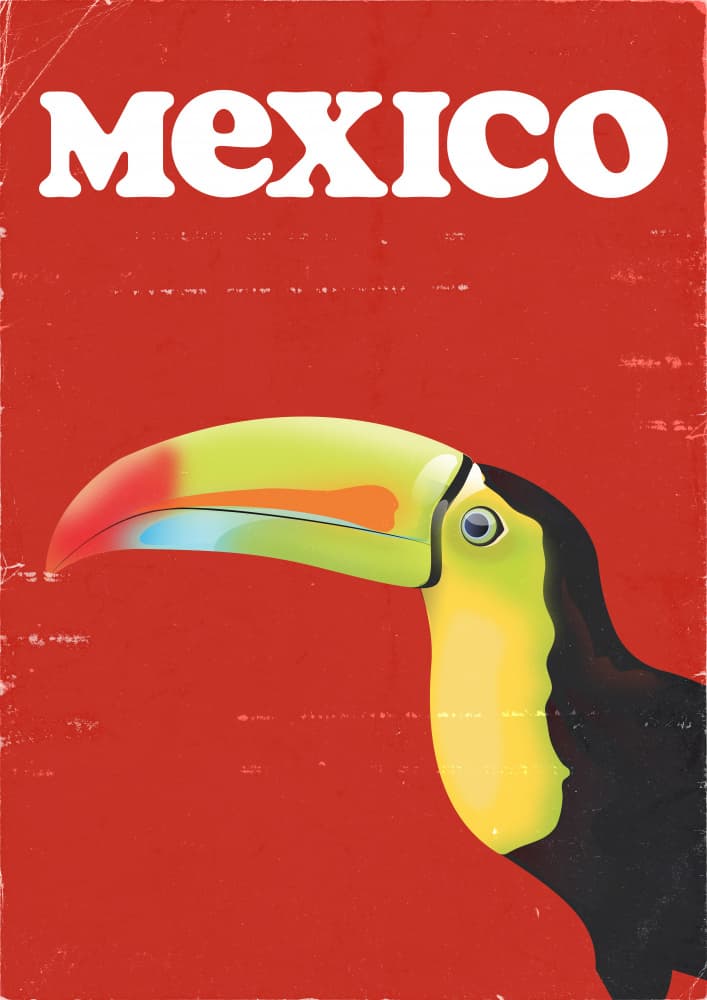 Vibrant Mexico Toucan by Nicholas — canvas wall art