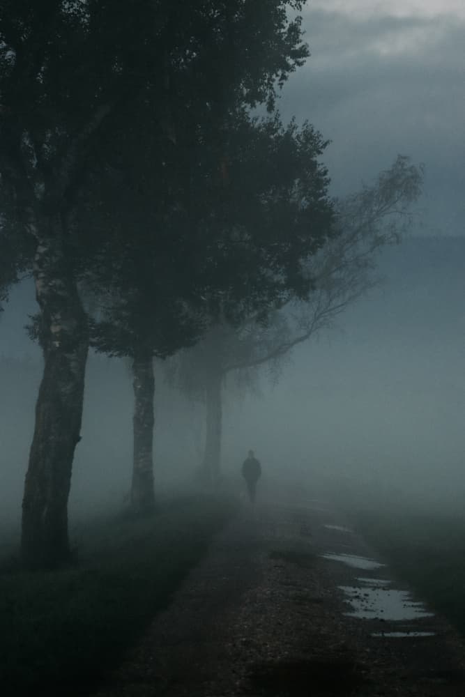 Mysterious Foggy Path by Renate Wasinger — canvas wall art