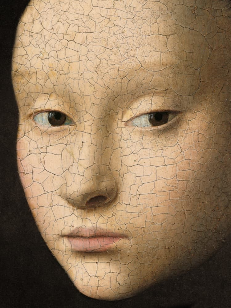 Cracked Serene Portrait by Marja van den Hurk — canvas wall art
