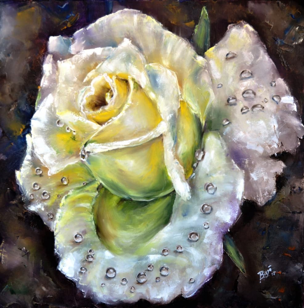Fresh Dewy Rose by Anda Bieza — canvas wall art
