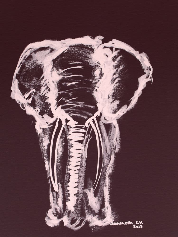 Majestic Elephant Drawing by Santhosh ch — canvas wall art