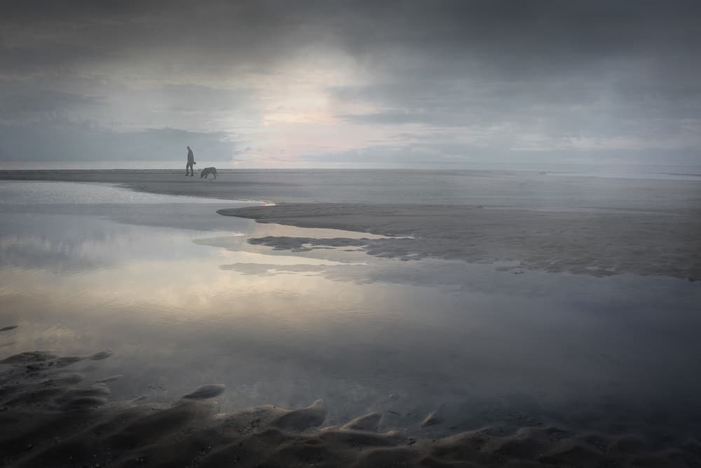 Misty Beach Stroll by Clas Gustafson PRO — canvas wall art