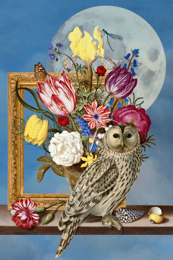 Moonlit Owl and Flowers by Marja van den Hurk — canvas wall art