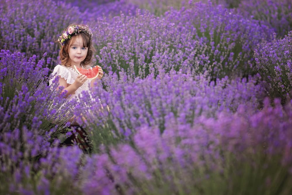 Sweet Girl Lavender Field by Bogdan Negoita — canvas wall art