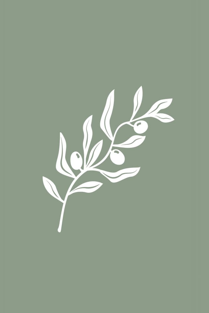 Olive Branch Sage by Karen Menzenbach — canvas wall art