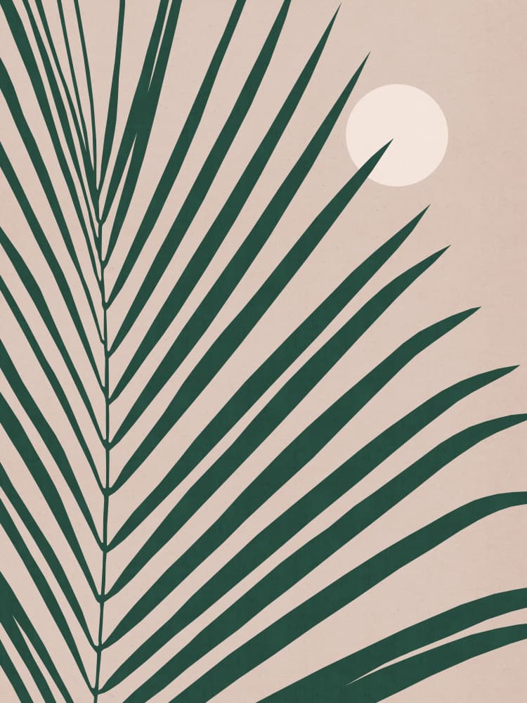 Palm Leaf Sun by Vitor Costa — canvas wall art