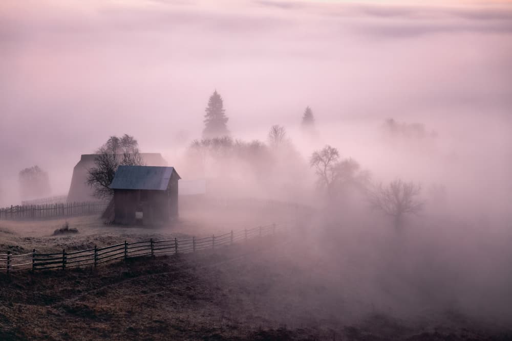 Misty Country Morning by Sebastian Prioteasa — canvas wall art