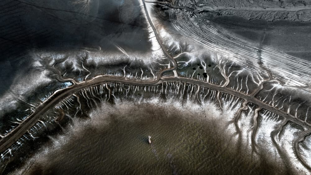 Intricate Tidal Landscape by Hsiao-Yang Fei — canvas wall art
