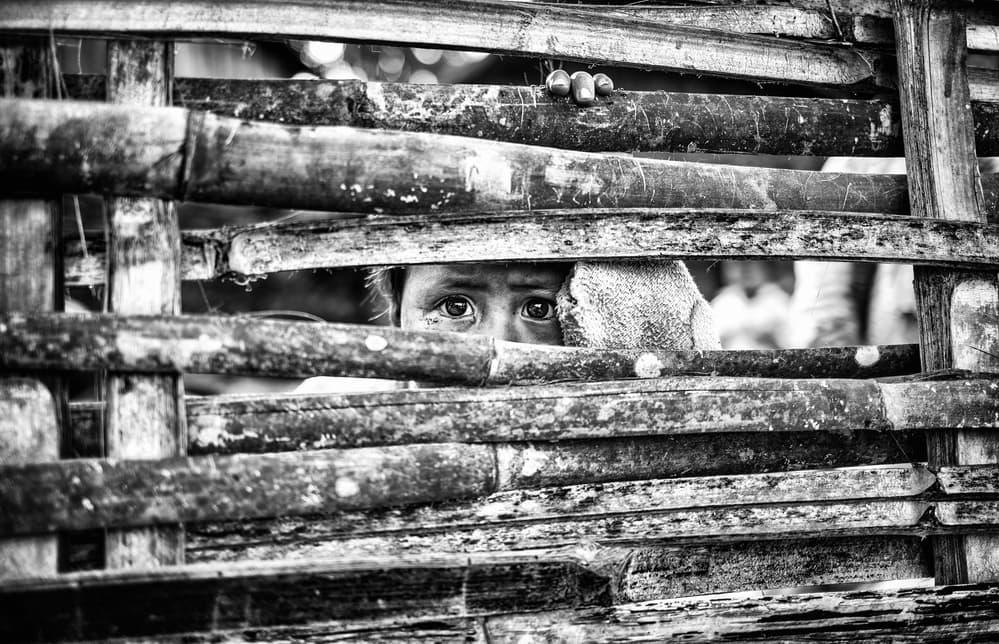 Curious Eyes Peeking by Marco Tagliarino — canvas wall art