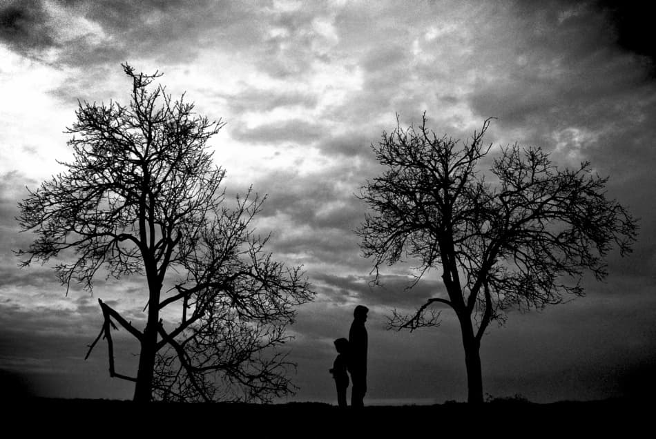 Moody Winter Silhouettes by Codrin Lupei — canvas wall art
