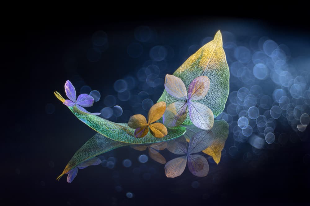 Dreaminess by Igor Kopcev — canvas wall art