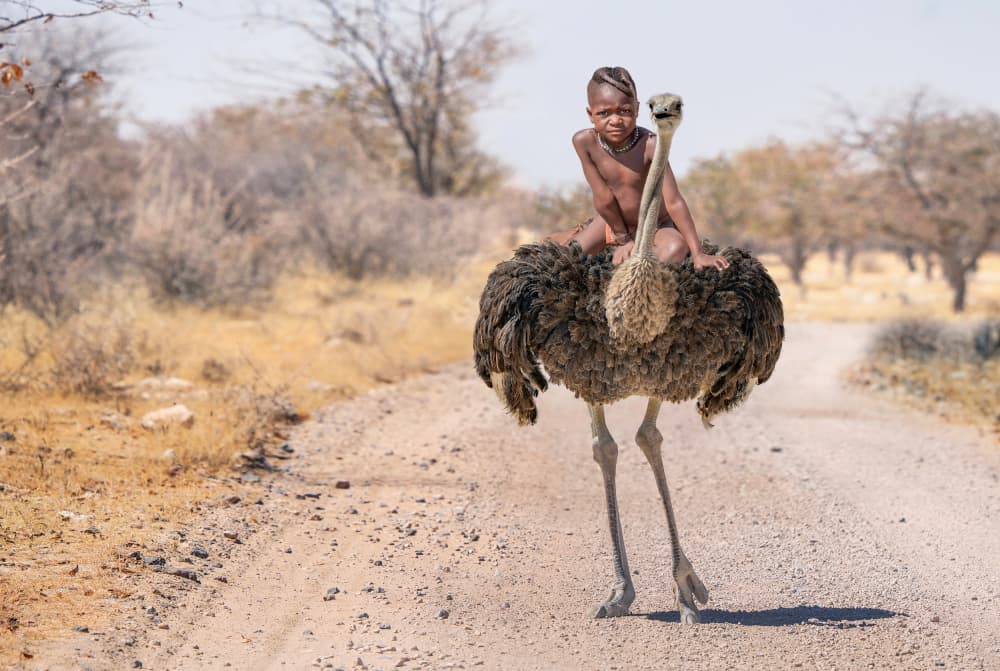 African Child Ostrich Ride by Marcel Egger — canvas wall art