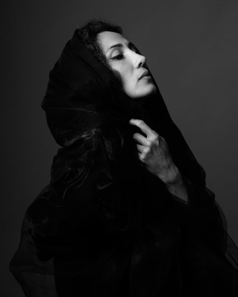 Mysterious Veiled Woman by Mehdi Mokhtari — canvas wall art