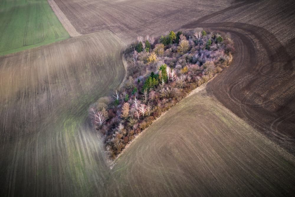 Heart Shaped Landscape by Joško Šimic — canvas wall art