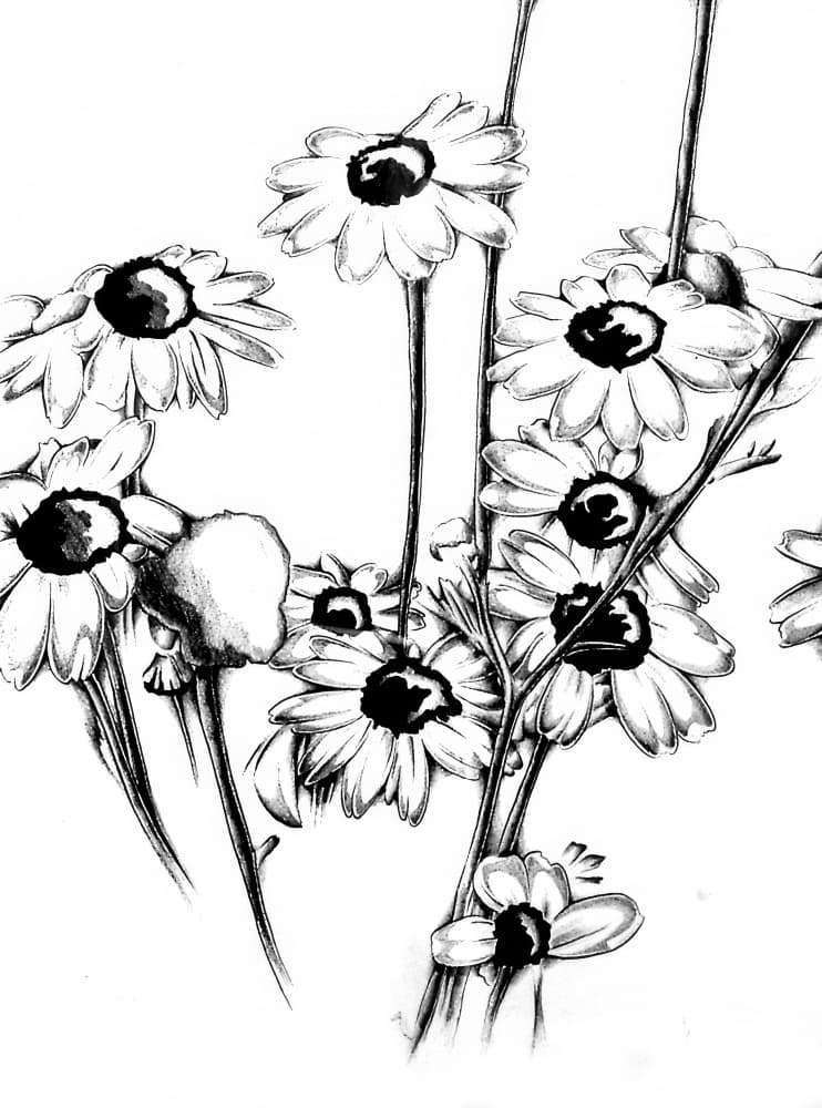 Floral Nature Art Drawing Sketch 15 by Kulik — canvas wall art