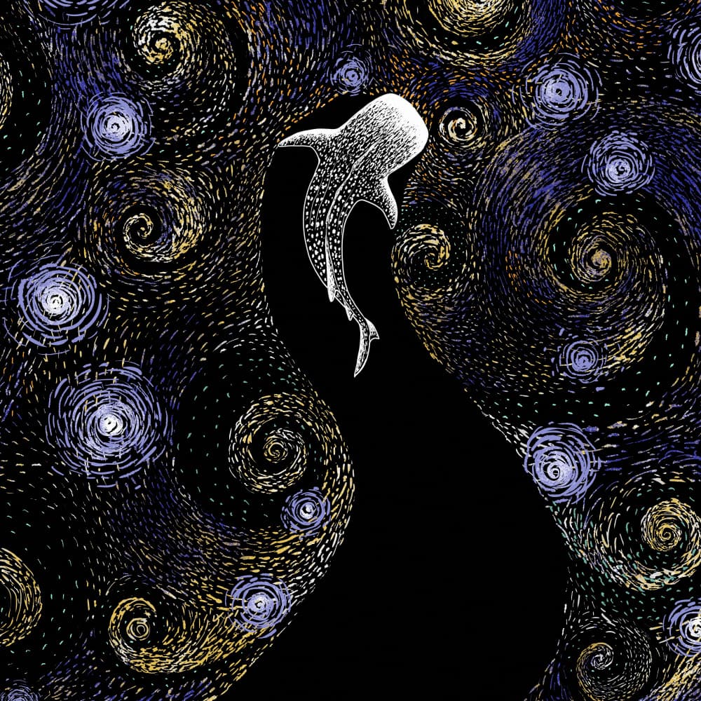 Cosmic Whale Shark by Alirıza ÇAKIR — canvas wall art