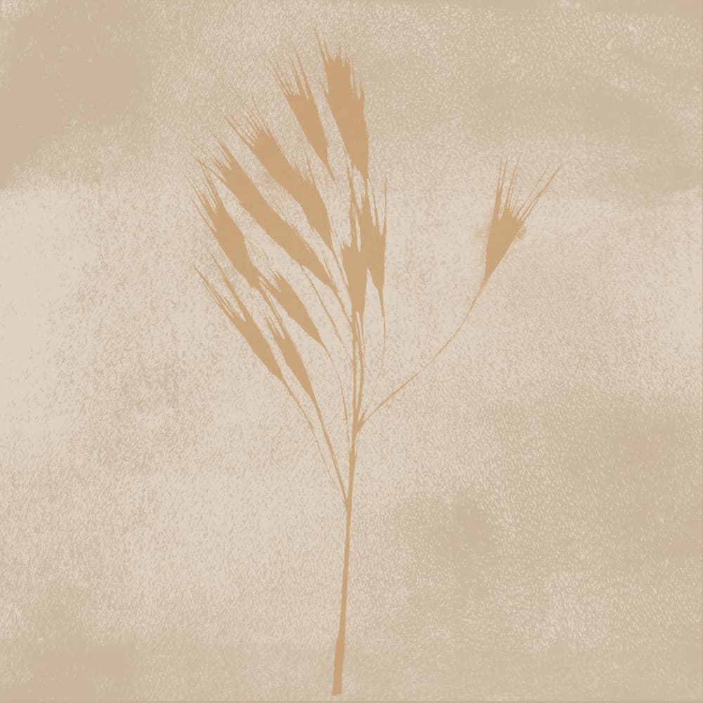 Warm Minimalist Wheat Stems by Dina Dankers — canvas wall art