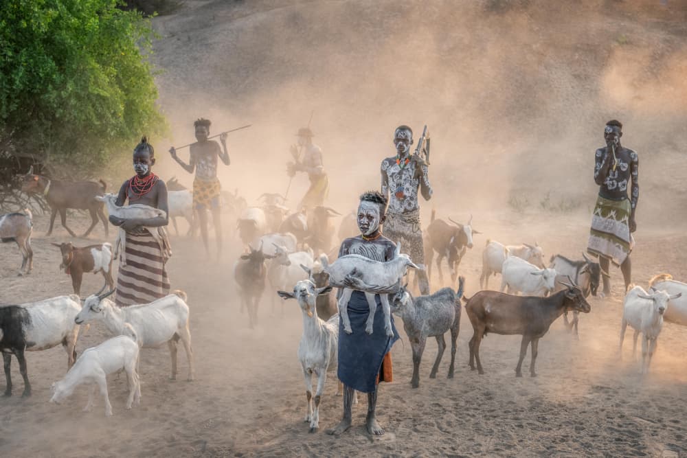 Tribal Herders with Goats by Trevor Cole — canvas wall art