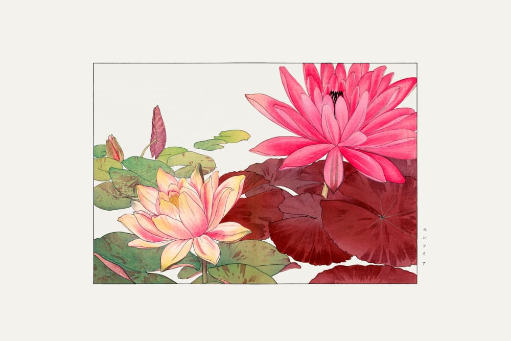 Nymphaea Lotus by Tanigami Konan — canvas wall art