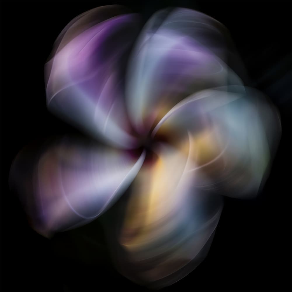 Dreamy Floral Swirl by Bilge Paksoylu — canvas wall art