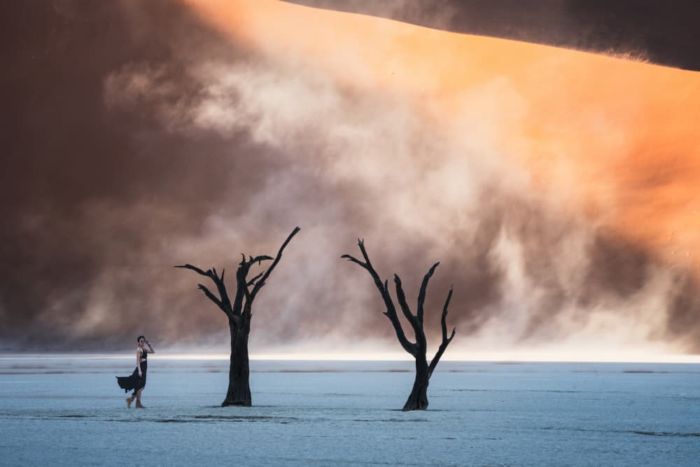 Misty Desert Woman by Willa Wei — canvas wall art
