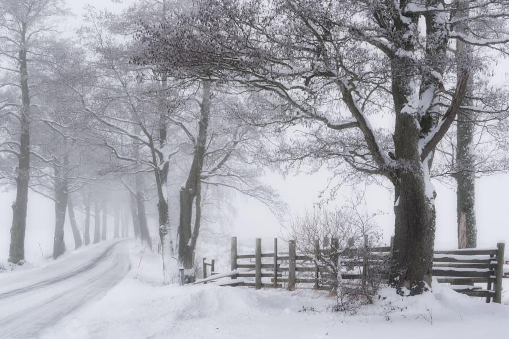Peaceful Snowy Road by Ludwig Riml — canvas wall art