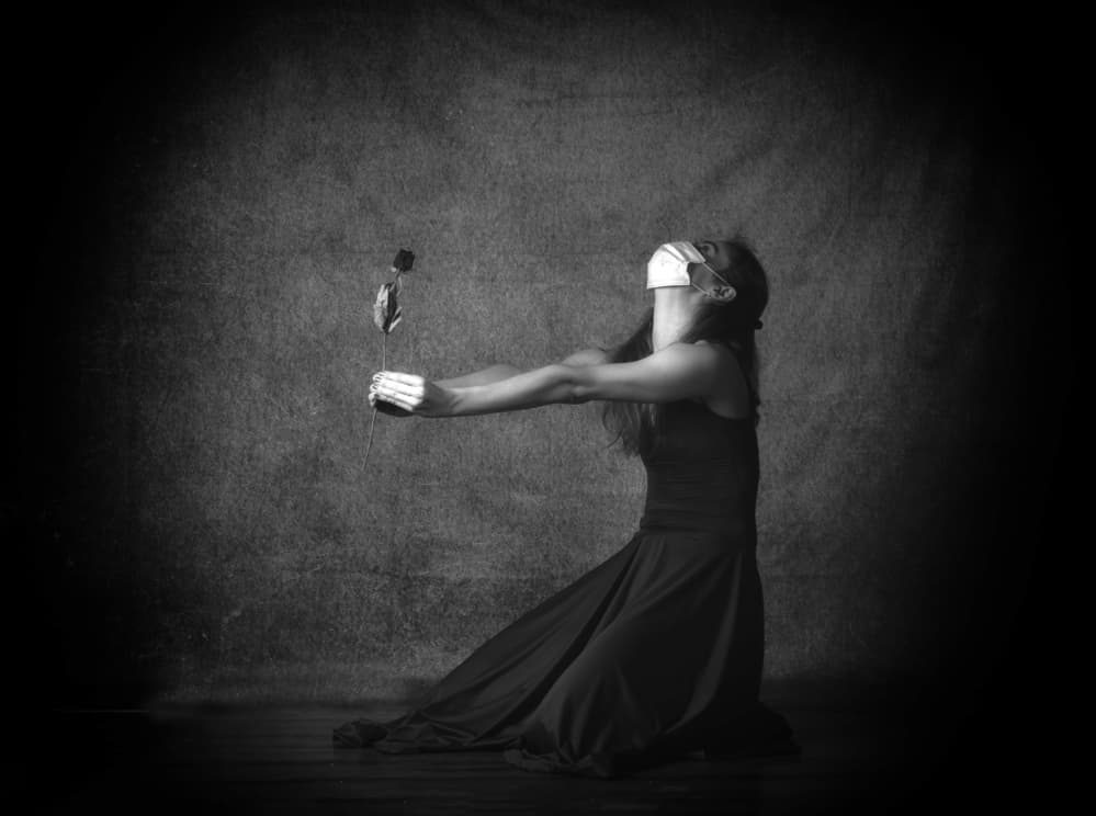 Mourning Rose by Anna Wan — canvas wall art