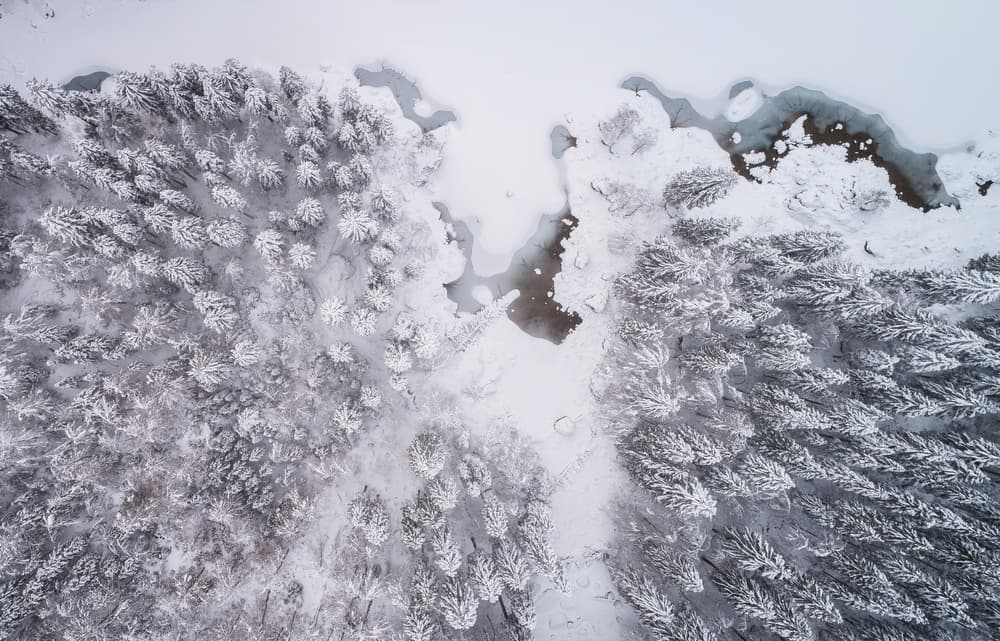 Snowy Forest Winter Lake by Ales Krivec — canvas wall art