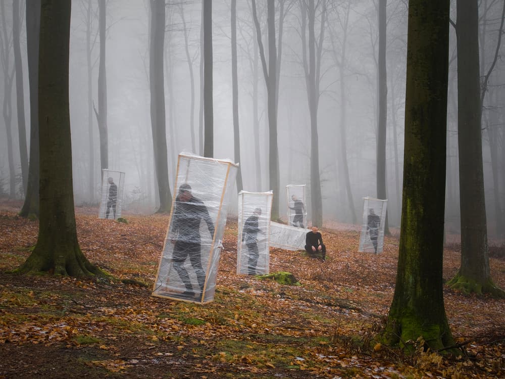 Enclosed in Foggy Forest by Leszek Paradowski — canvas wall art