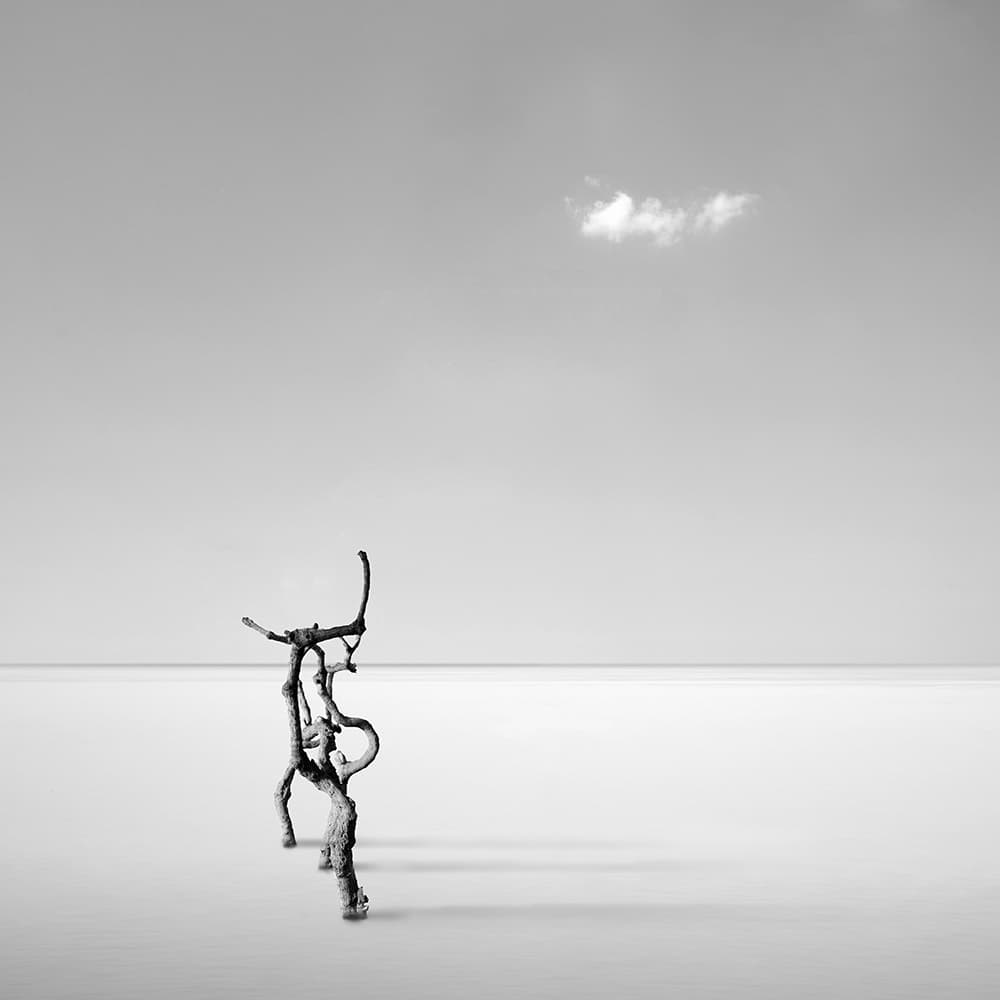Solitary Driftwood Horizon by George Digalakis — canvas wall art
