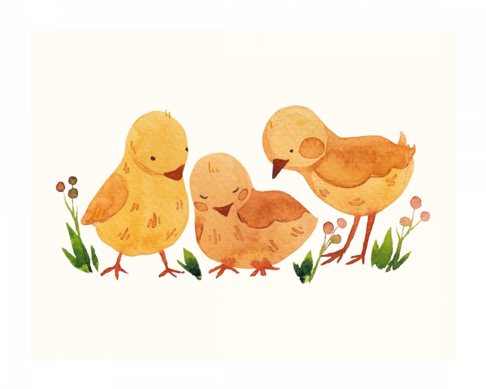 Cute Baby Chicks by Saskia Michele — canvas wall art
