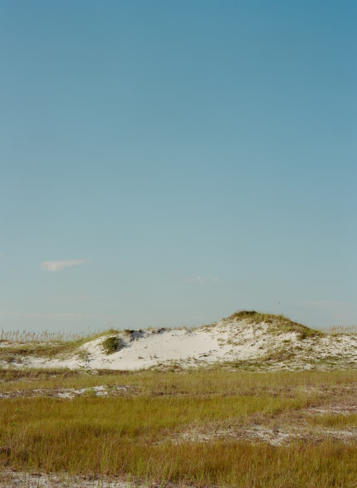 Dune Field Serenity by Bethany Young — canvas wall art