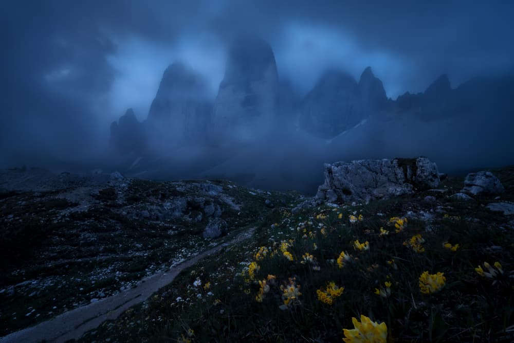 Misty Blue Mountain Flowers by Martin Morávek — canvas wall art