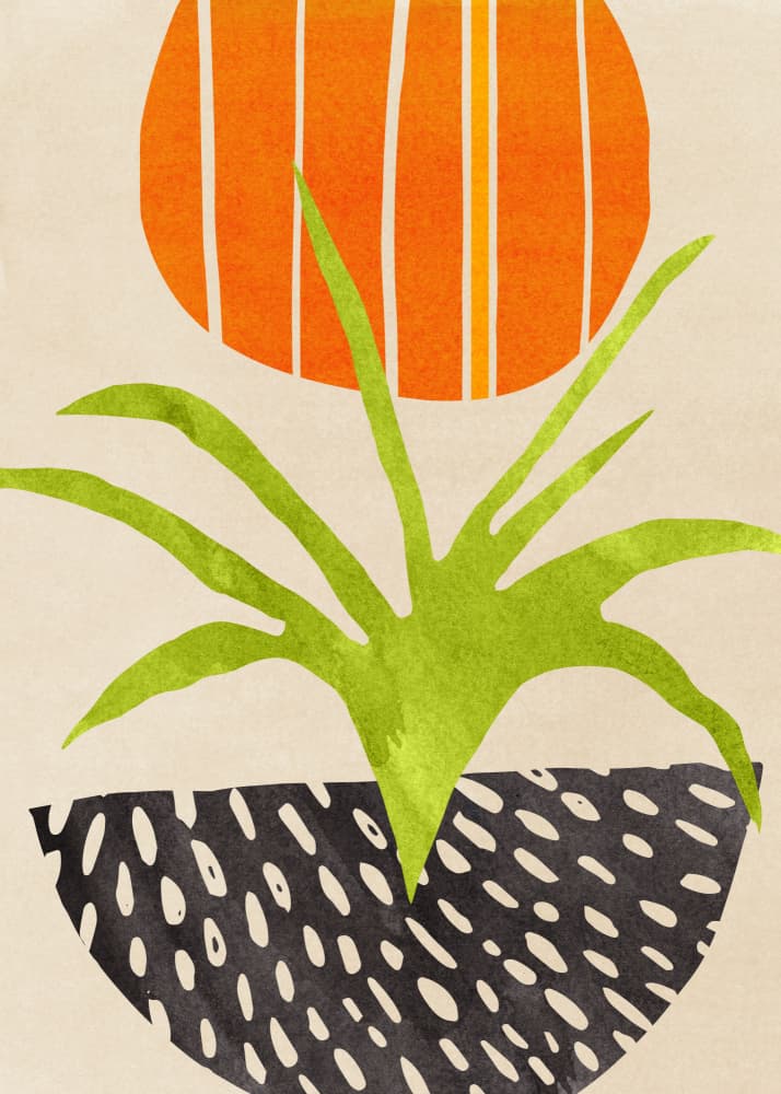 Scandi Summer Sm.png by Kristian Gallagher — canvas wall art