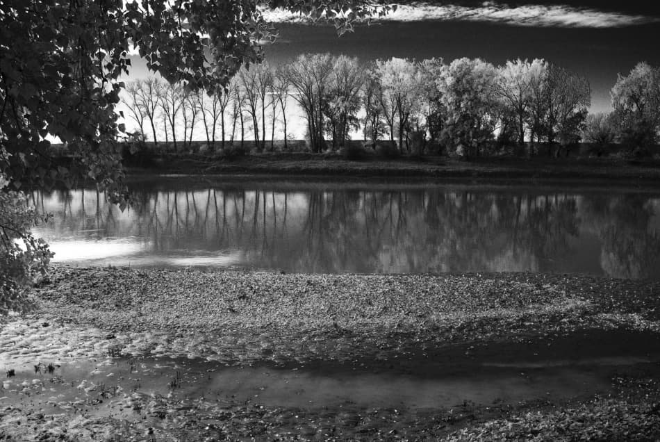 Tranquil River Bare Trees by Codrin Lupei — canvas wall art
