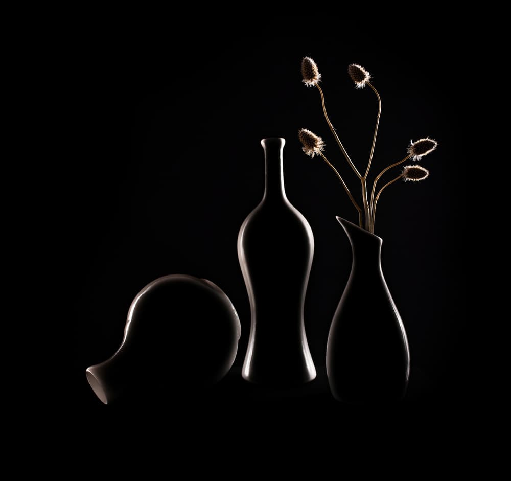 Elegant Still Life Silhouettes by Margareth Perfoncio — canvas wall art