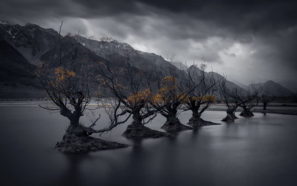Misty Mountain Lake Trees by Michael Zheng — canvas wall art