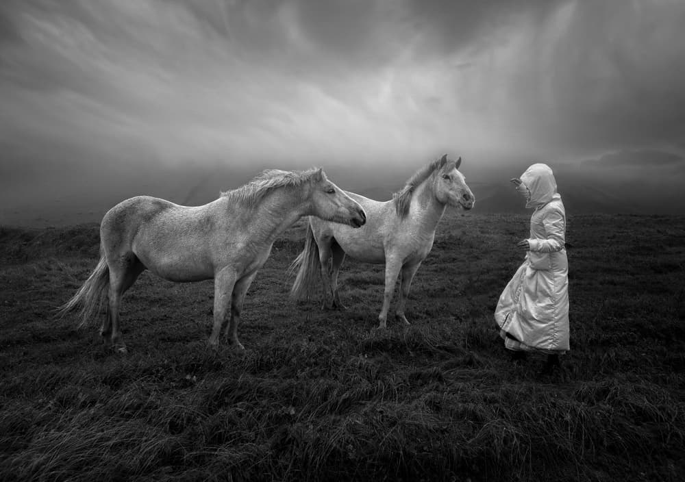 Horses and Hooded Woman by Larry Deng APA — canvas wall art