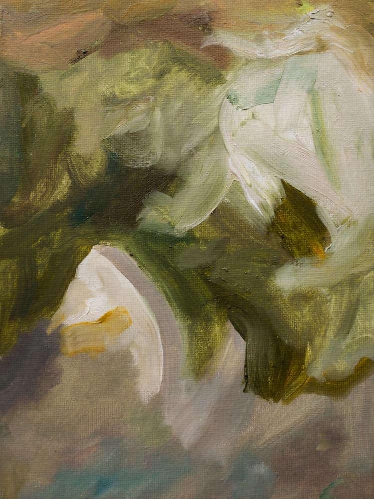 Soft White Petals by Emily Tingey — canvas wall art