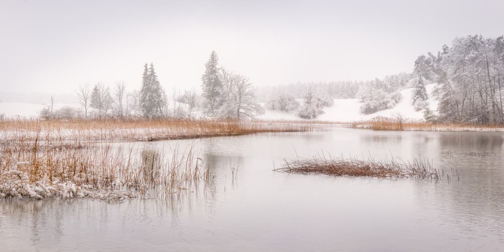 Misty Winter Pond by Ulrike Eisenmann — canvas wall art