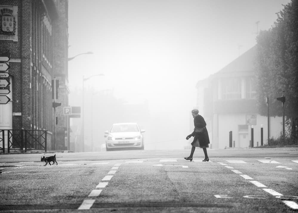 Misty Street Crossing by Boris Hristov — canvas wall art