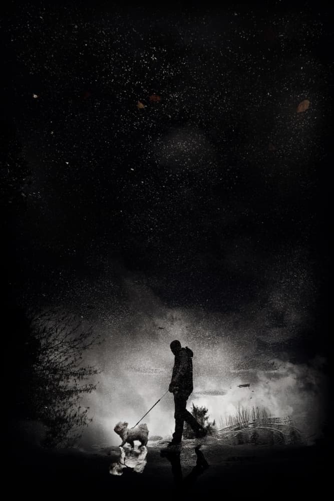 Night Walk Reflection by Antonio Grambone — canvas wall art