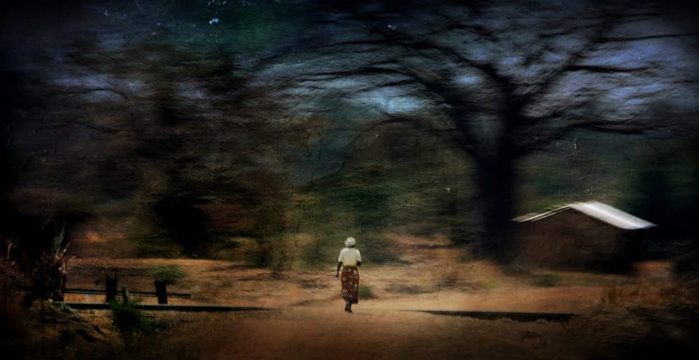 Dreamy Solitary Path by Antonio Grambone — canvas wall art