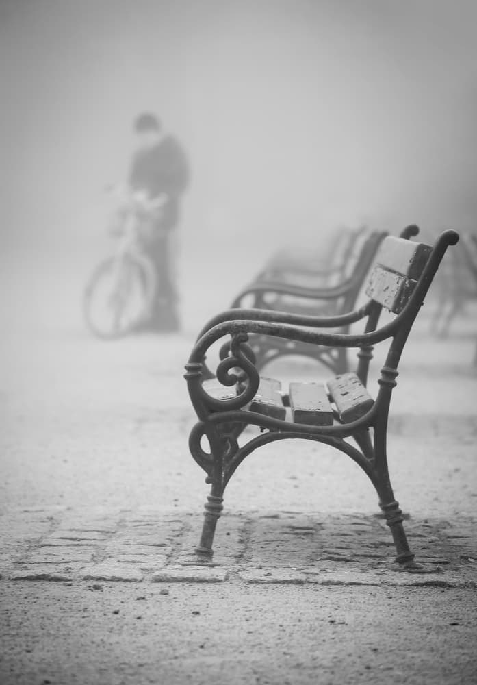 Misty Park Benches by Anna Niemiec — canvas wall art
